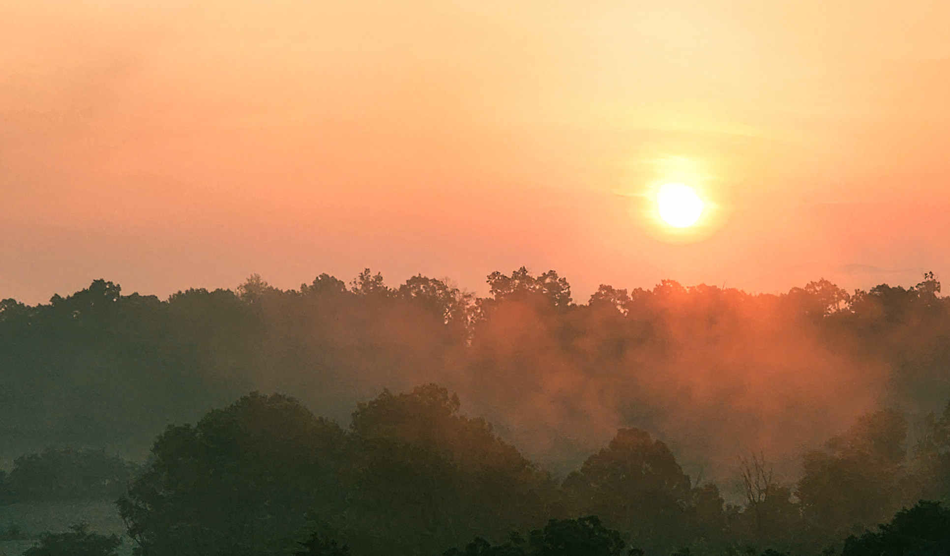 Sunrise